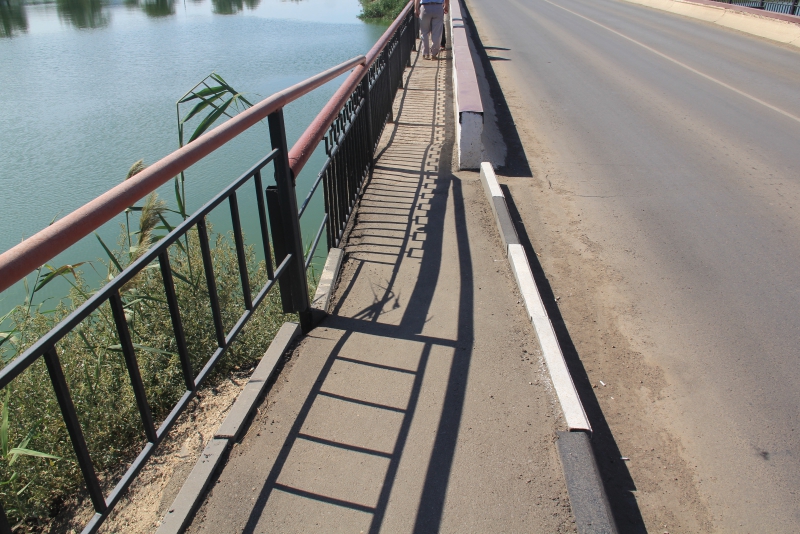 В Ершове в 40-градусную жару можно купаться лишь в ФОК «Дельфин»