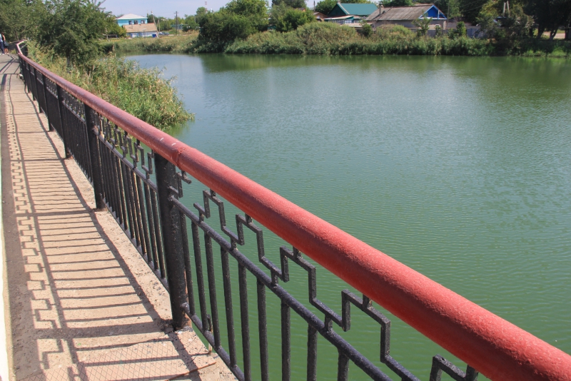 В Ершове в 40-градусную жару можно купаться лишь в ФОК «Дельфин»