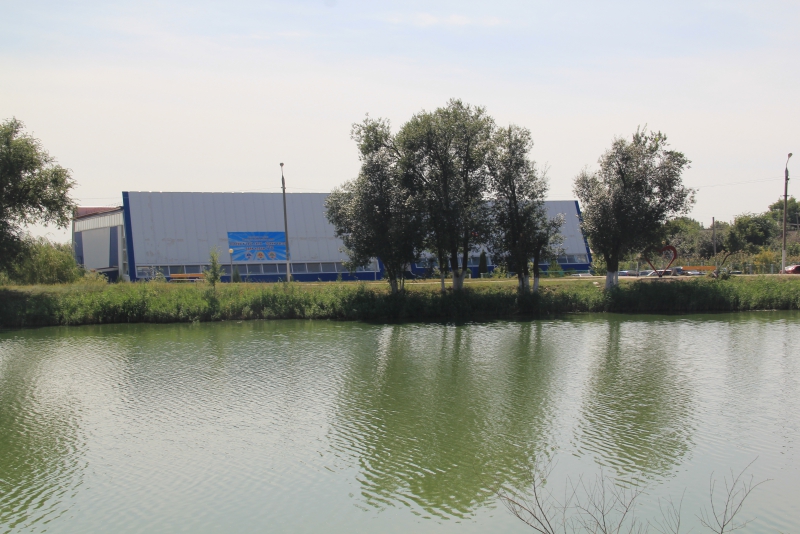 В Ершове в 40-градусную жару можно купаться лишь в ФОК «Дельфин»