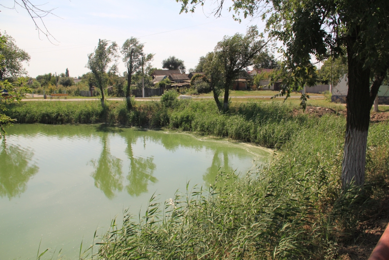 В Ершове в 40-градусную жару можно купаться лишь в ФОК «Дельфин»