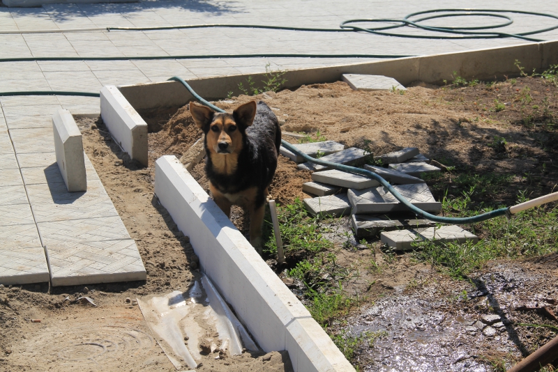 В Ершове впервые появились бордюры