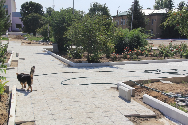 В Ершове впервые появились бордюры