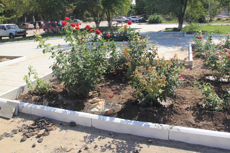 В Ершове впервые появились бордюры