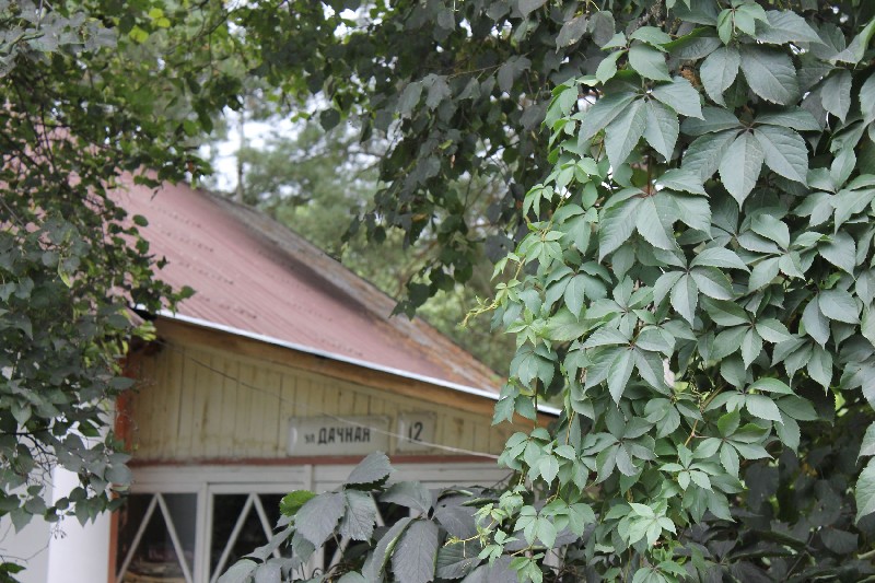 ОНФ: Полигон ТБО несет угрозу военному аэропорту