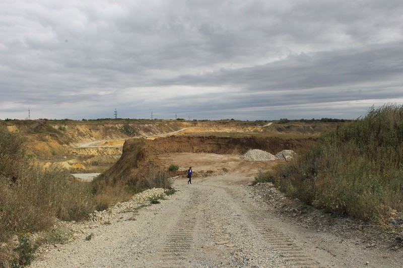 ОНФ: Полигон ТБО несет угрозу военному аэропорту