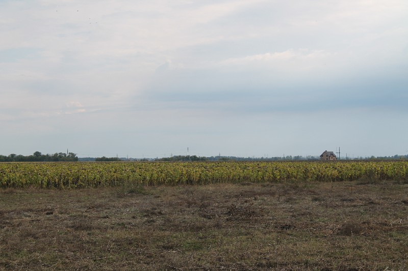 «Облкоммунэнерго» построит электросетевую инфраструктуру в поселке для многодетных семей