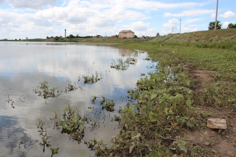 В балаковском озере искусственно восполняют запасы воды