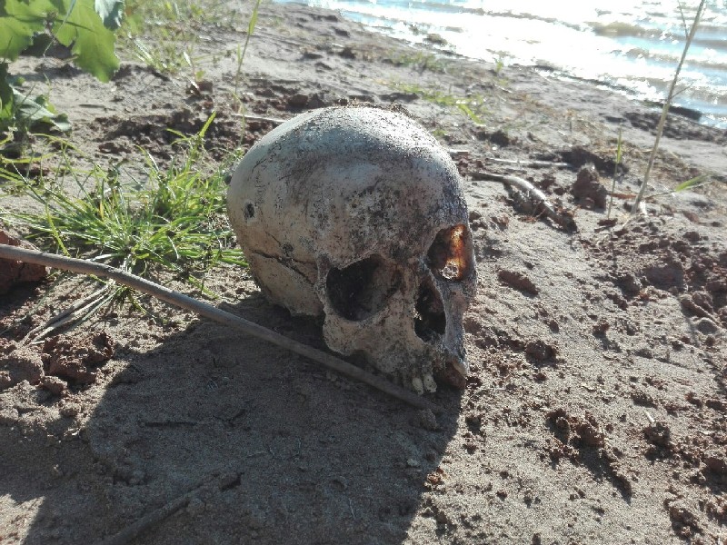 Очевидец: Из обрыва над Волгой торчат гробы со скелетами