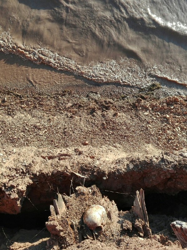 Очевидец: Из обрыва над Волгой торчат гробы со скелетами