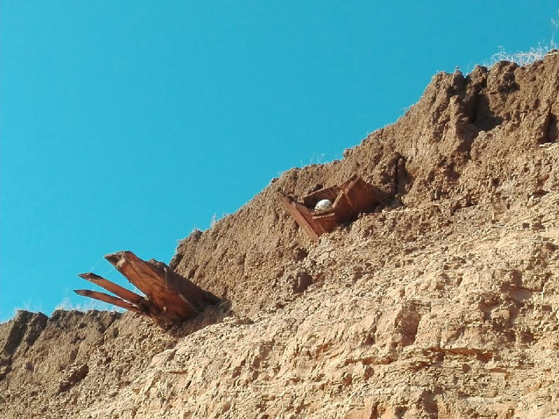 Очевидец: Из обрыва над Волгой торчат гробы со скелетами