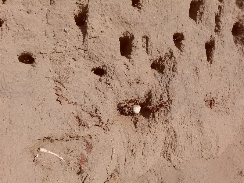 Очевидец: Из обрыва над Волгой торчат гробы со скелетами