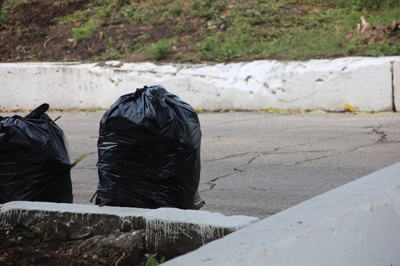 Саратовские студенты и экологи очистили от мусора берег Волги