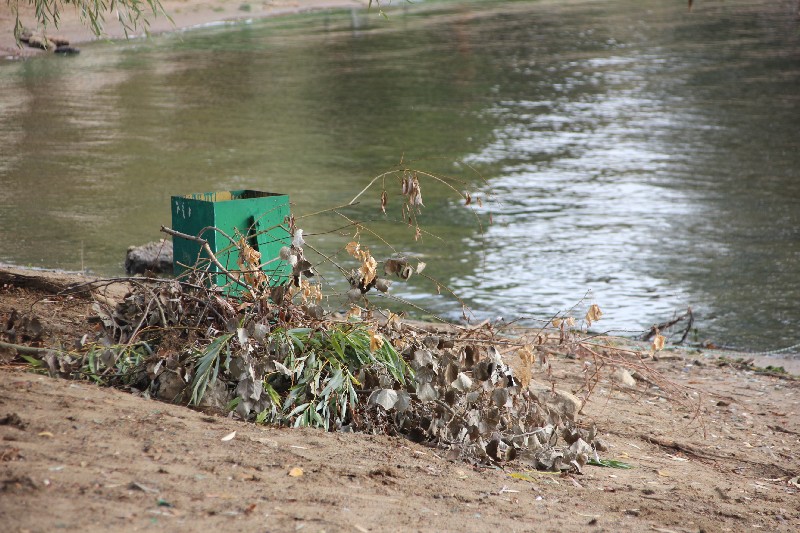 Саратовские студенты и экологи очистили от мусора берег Волги