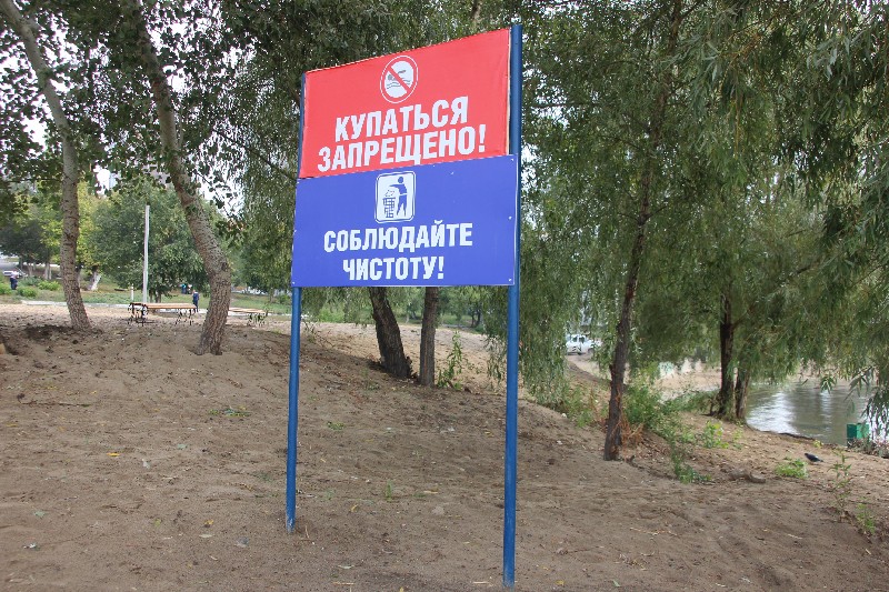 Саратовские студенты и экологи очистили от мусора берег Волги