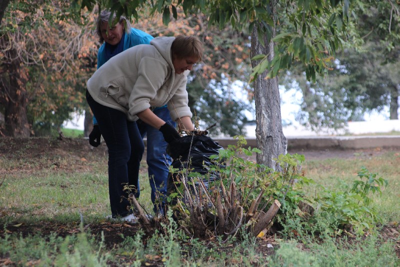 Саратовские студенты и экологи очистили от мусора берег Волги