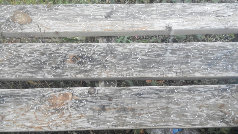 Жители Саратова увидели первый снег