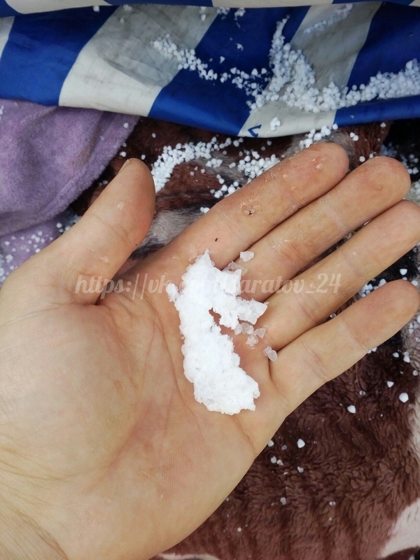 Жители Саратова увидели первый снег