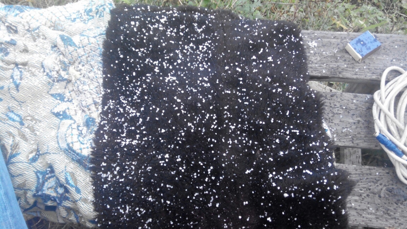 Жители Саратова увидели первый снег