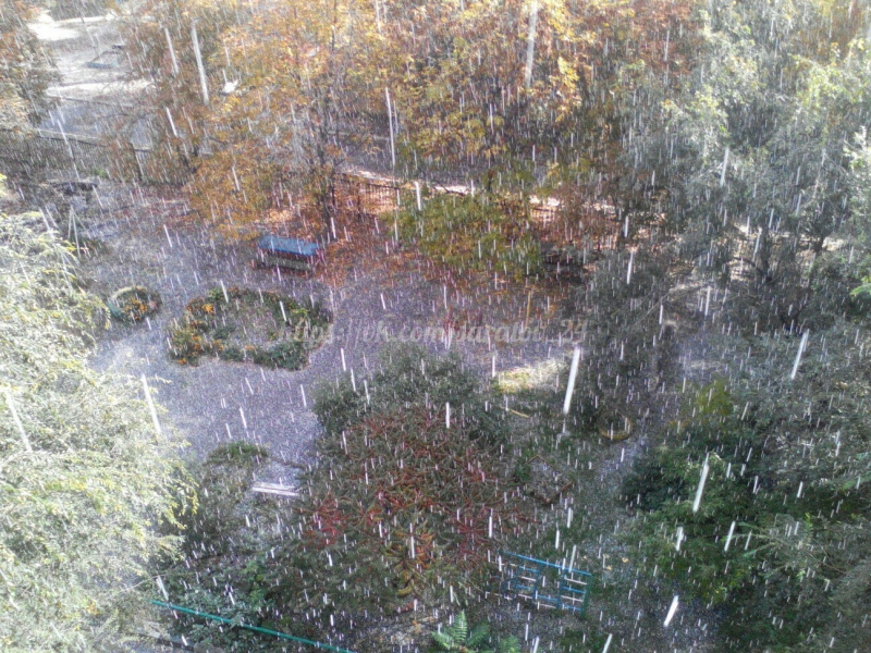 Жители Саратова увидели первый снег