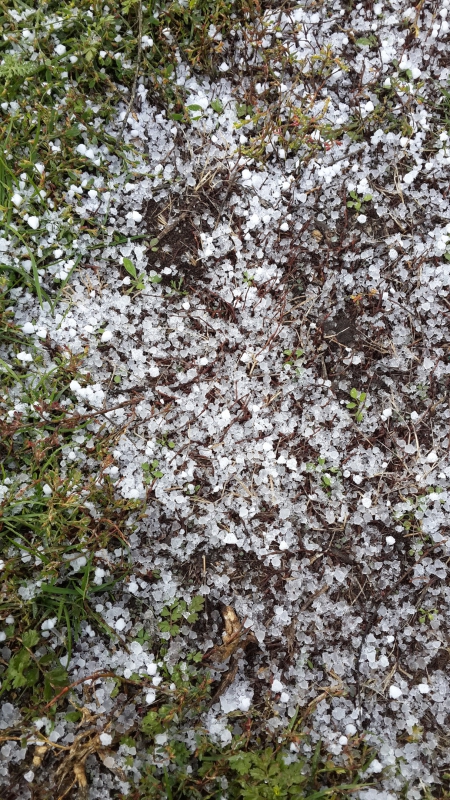 Жители Саратова увидели первый снег