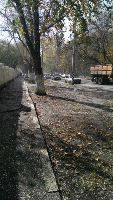 Жители Саратова увидели первый снег