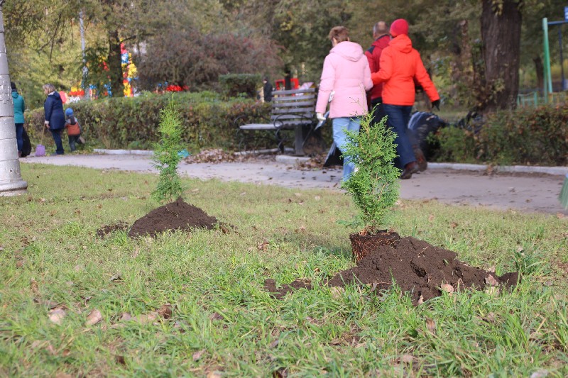 «Холодный субботник» в Саратове вывел на улицы 10 тысяч горожан