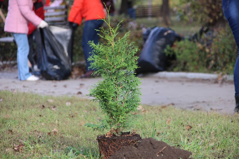 «Холодный субботник» в Саратове вывел на улицы 10 тысяч горожан