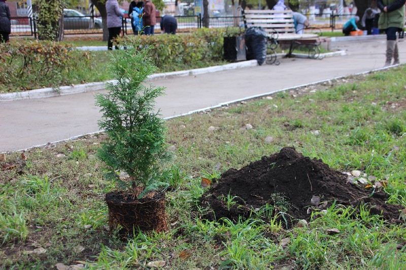 «Холодный субботник» в Саратове вывел на улицы 10 тысяч горожан