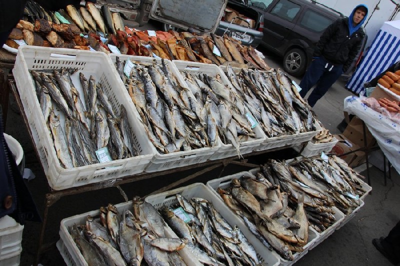 Купить рыбу в саратове. Рыбный рынок в Саратове. Изобилие рыб в Саратове. Саратов с рыбой в руках. Рыба Саратов официальное отношение.