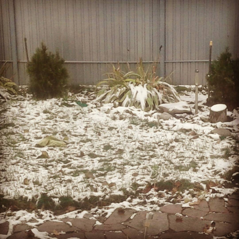 Саратовцы фотографируют первый снег и лепят снеговиков