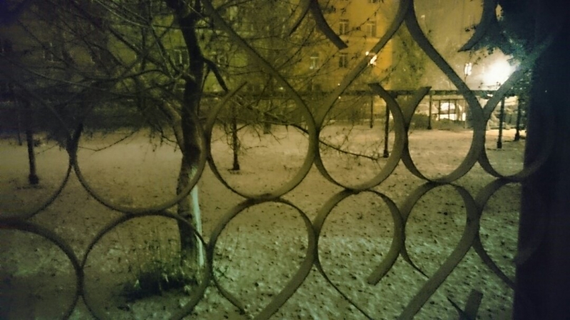 Саратовцы фотографируют первый снег и лепят снеговиков