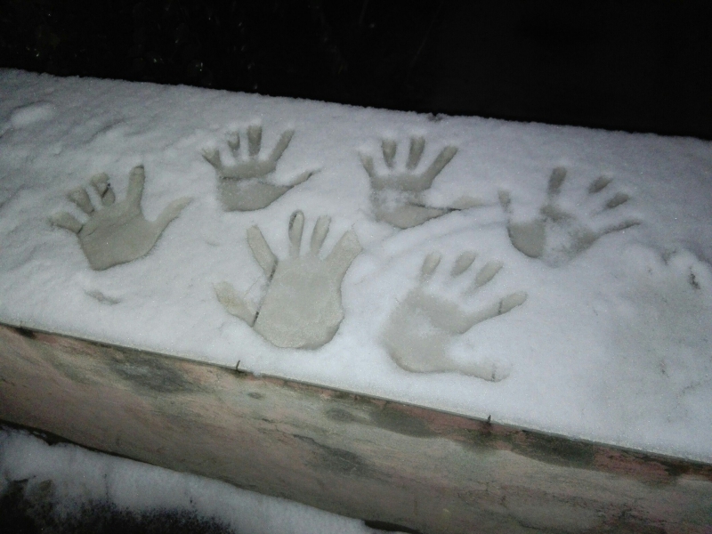 Саратовцы фотографируют первый снег и лепят снеговиков