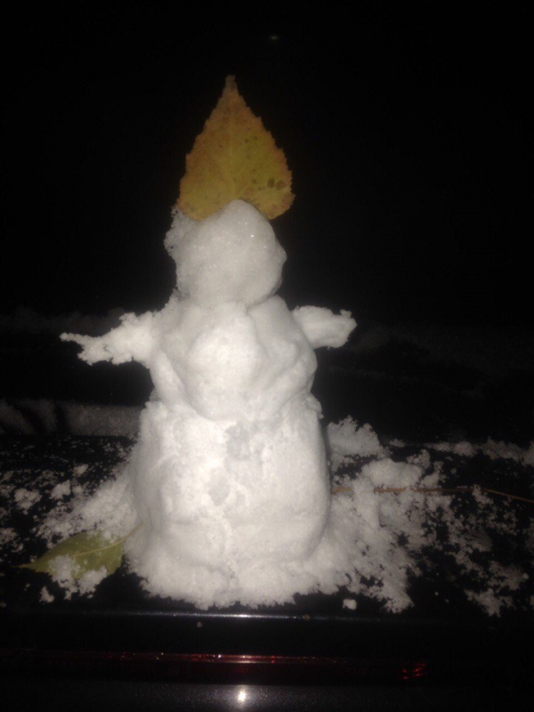 Саратовцы фотографируют первый снег и лепят снеговиков