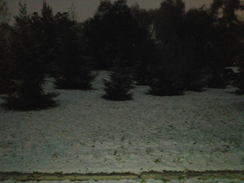 Саратовцы фотографируют первый снег и лепят снеговиков