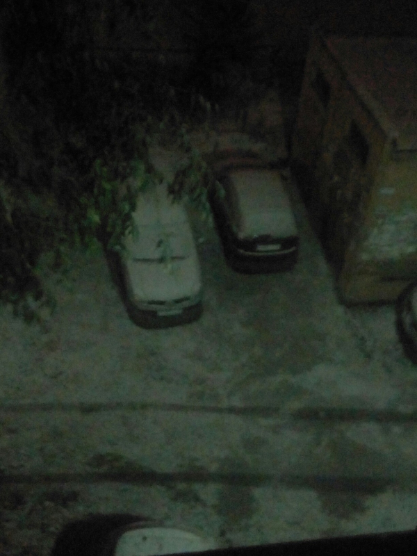 Саратовцы фотографируют первый снег и лепят снеговиков