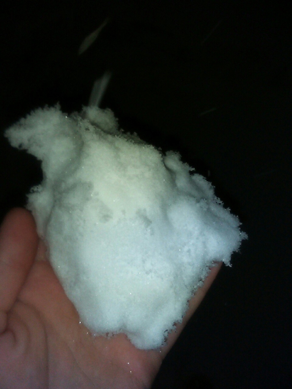 Саратовцы фотографируют первый снег и лепят снеговиков