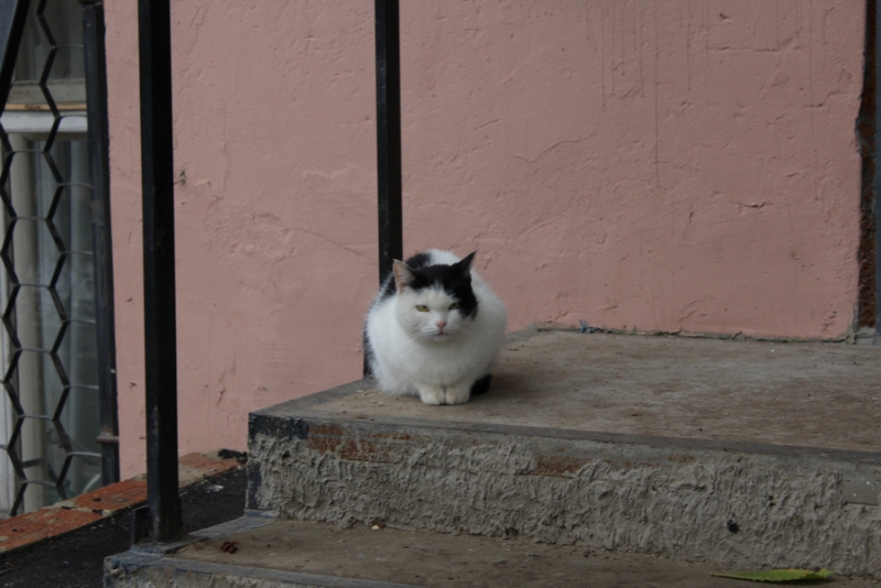 Саратов может получить еще деньги на дворы и дороги