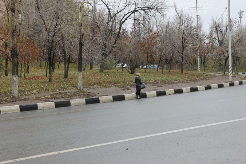 Эксперт ОНФ считает опасной остановку у Парка Победы