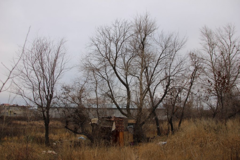 Бомжа Василия уговорили отправиться на теплую зимовку