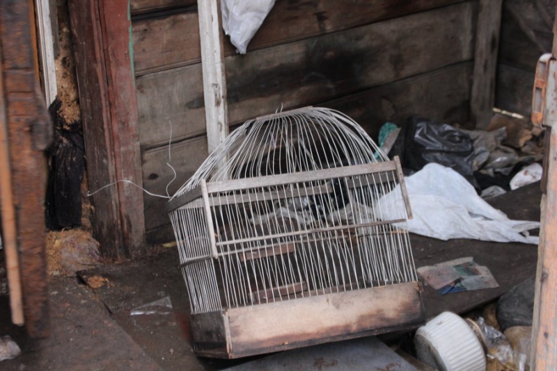 Бомжа Василия уговорили отправиться на теплую зимовку