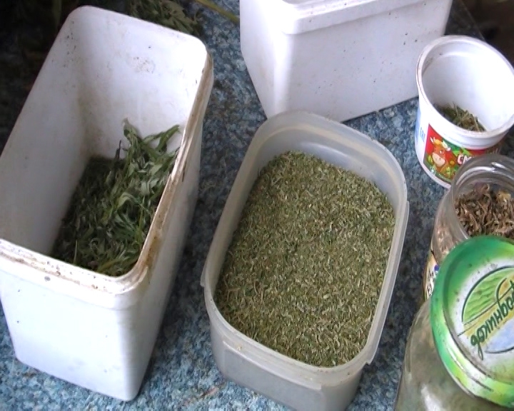 В Саратовской области полицейские изъяли более 19 кг наркотиков