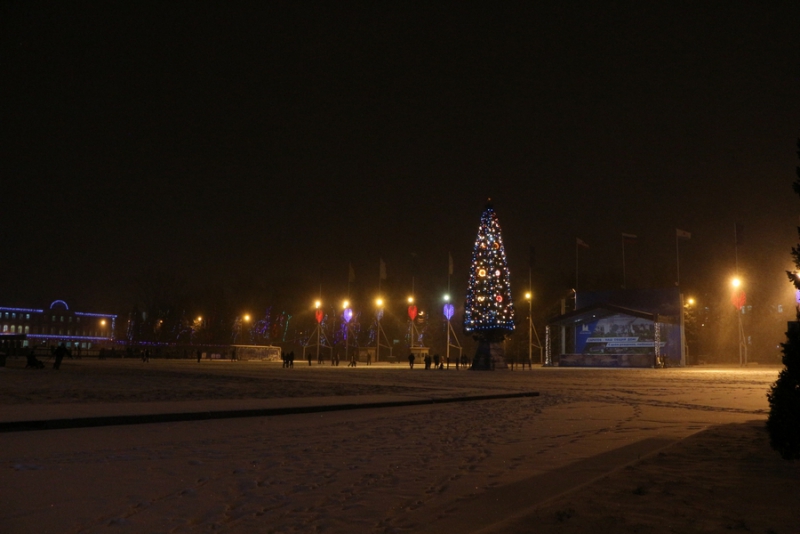 В Саратове зажглись огни на главной елке города