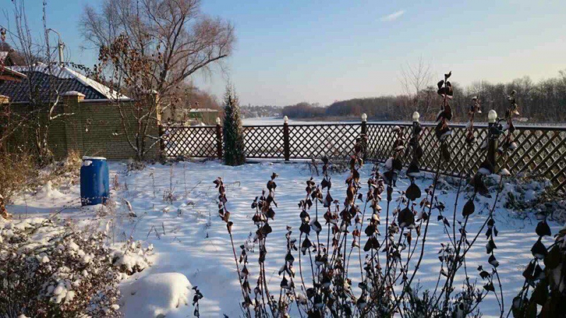 Приставы арестовали дом должницы на берегу Волги