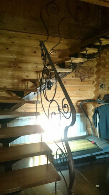 Приставы арестовали дом должницы на берегу Волги