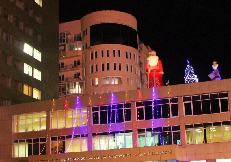 На проспекте Кирова появился светящийся Дед Мороз