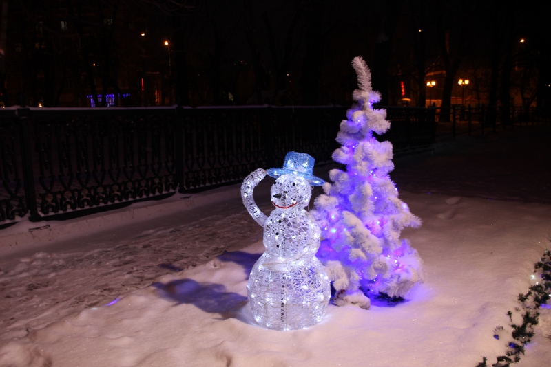 Олень стал одним из главных новогодних символов Саратова