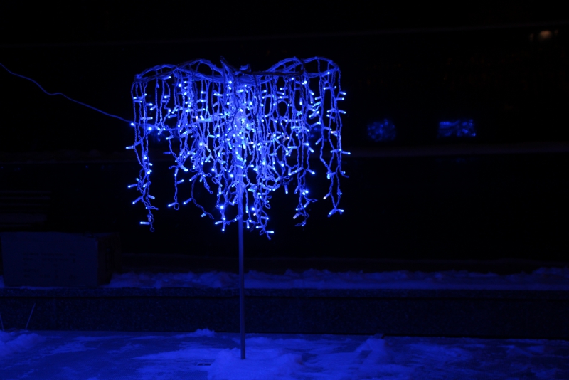 Олень стал одним из главных новогодних символов Саратова