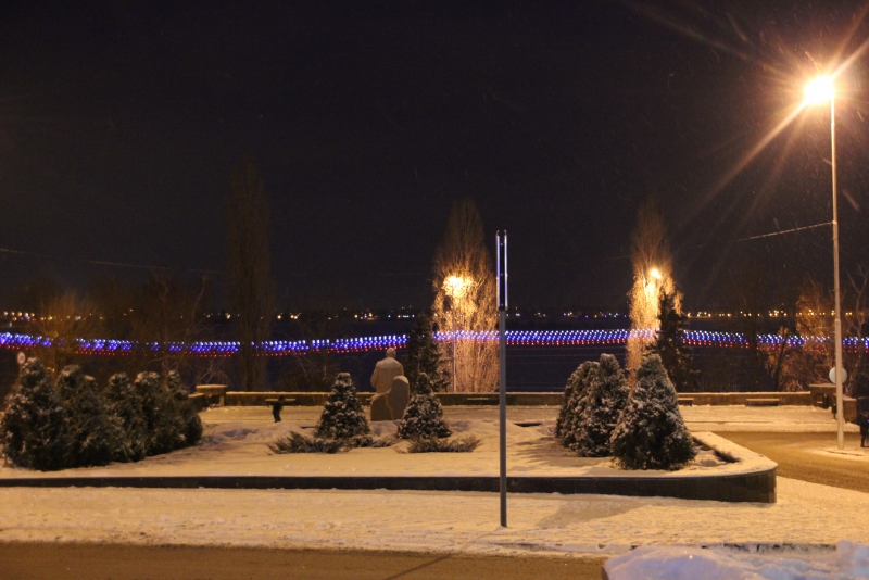 Олень стал одним из главных новогодних символов Саратова