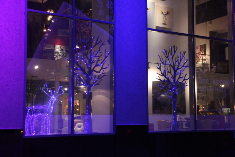 Олень стал одним из главных новогодних символов Саратова