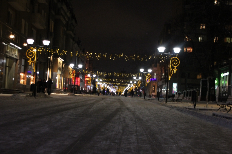 Олень стал одним из главных новогодних символов Саратова